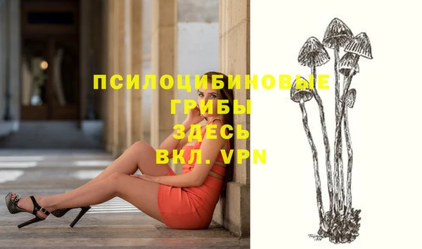 крисы Балабаново